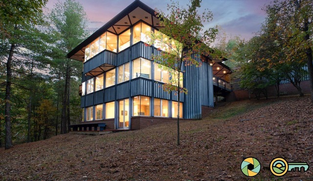 Arbor Vitae - experience the Tree of Life!
