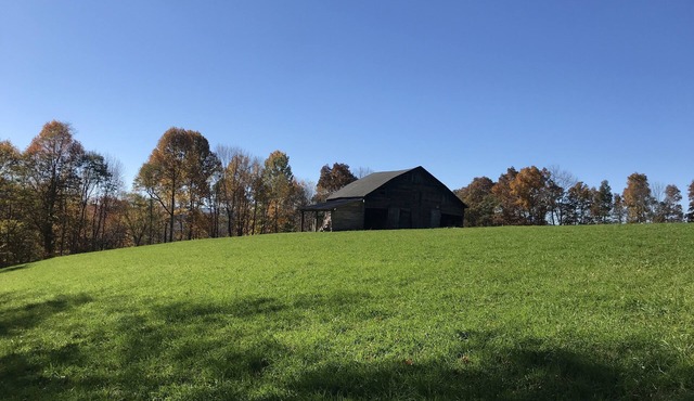 Authentic Creekside restored farmhouse - birding w 60 ac of wildlife trails