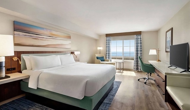 Beach Stay | Ocean View Unit | Pool | Pets Are Welcome | Legoland - 3 miles