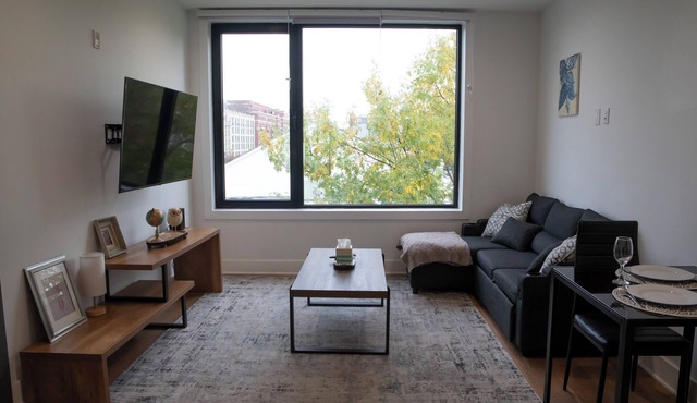Beautiful 1BR in Park View DC p8dt