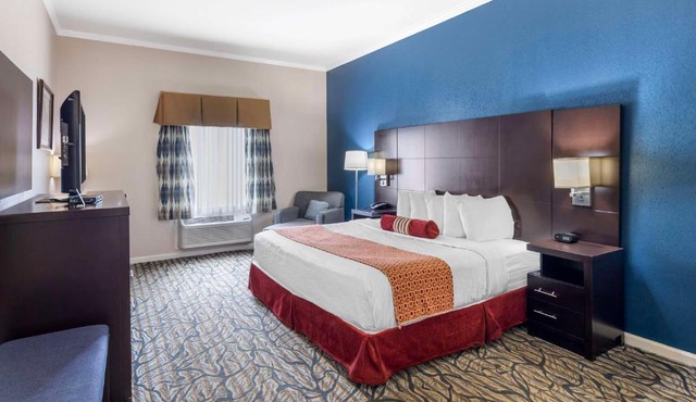 Best Western Spring Hill Inn & Suites