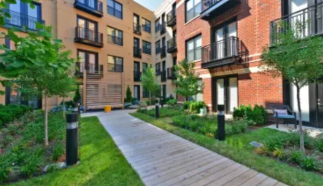 Bright 1-Bedroom Retreat in Arlington — Free Parking + Gym Access
