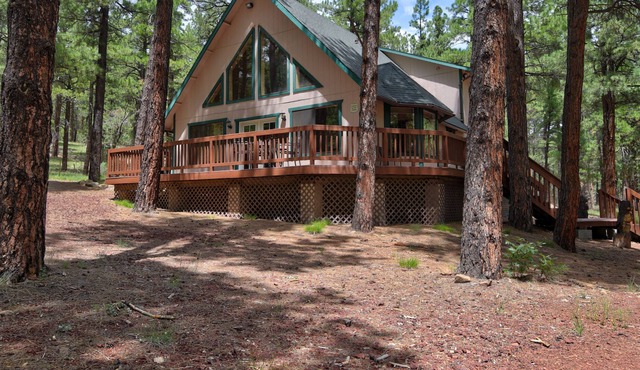 Cabin Retreat in Tall Pines on 2.5 acres