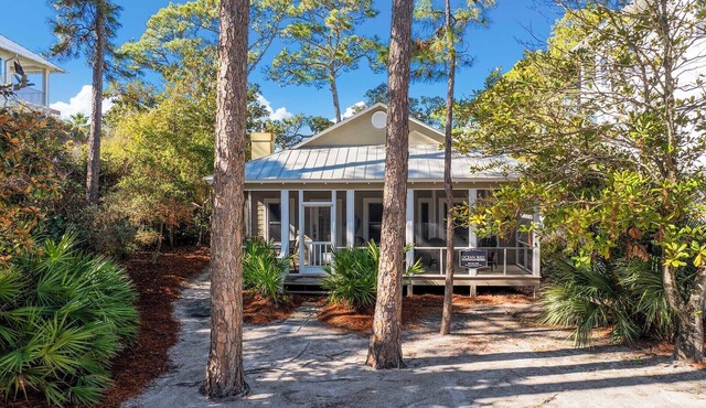 Castle of Dreams - Grayton Beach, 30A, Pet Friendly, Bike to Seaside!