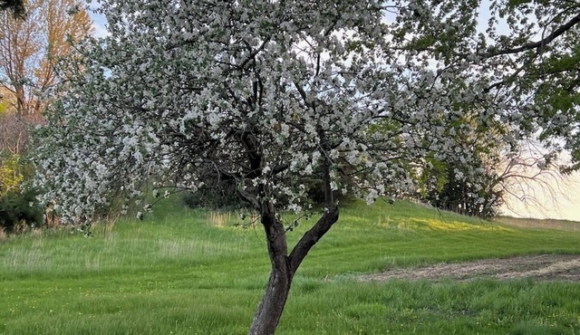 Charming 4-bedroom farmhouse in Rosemount with WiFi and AC