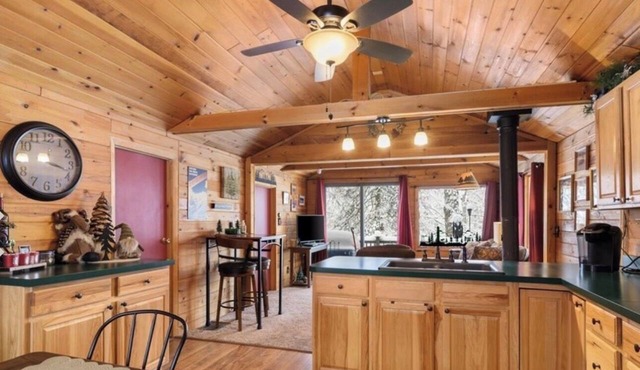 Charming and secluded 2-bedroom cabin with AC in Old Forge