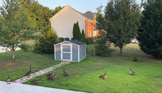 Charming house in fabulous Woodbridge with AC, WiFi