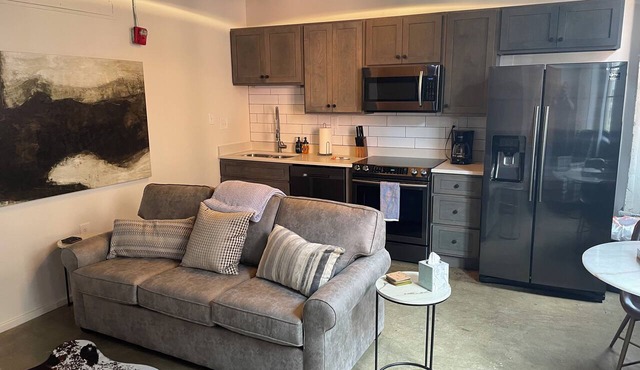 City View 1-King bed 1-bath with 1-queen sofa couch Condo in Downtown Knoxville