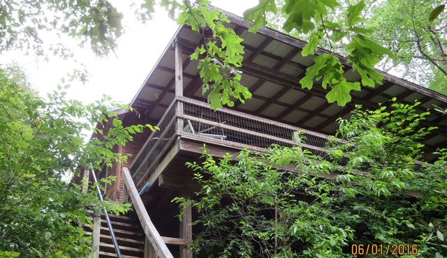 Clearwater Cabin On the South Toe River