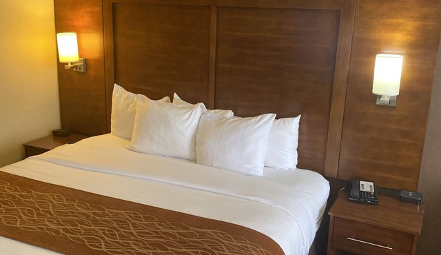 Comfort Inn Springfield
