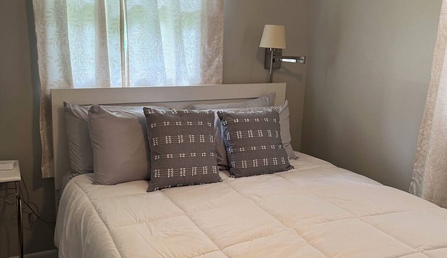 Cozy Bristol Jungalow Apartment- 2 blocks from King College - 2 bd/1 bath