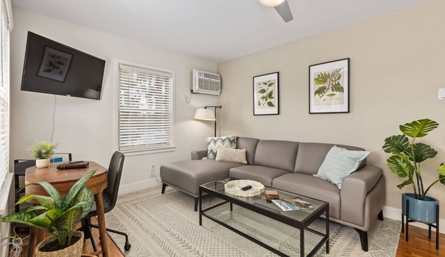 Cozy, Newly Remodeled Cottage in Normal Heights