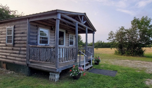 Cozy year round cabin near Acadia and ATV trails, and pet friendly!