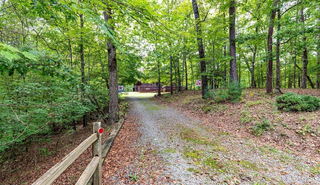 Dancing Bears Cabin - Secluded 3-Bedroom, 3.5-Bath Luxury Cabin with Hot Tub