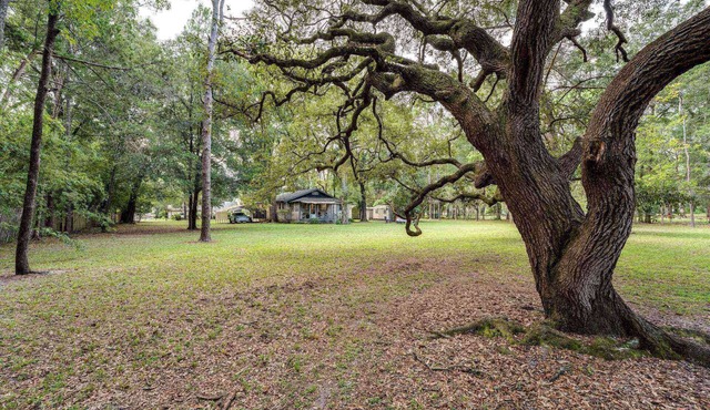 Dogs Give us 5 Stars! 3BR, Fenced, Rustic Escape