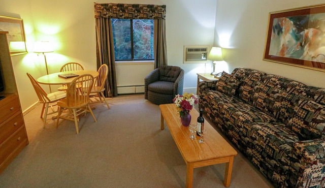 Efficiency with Sleeper Sofa only 215