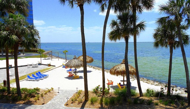 Experience All Of What Tampa Has To Offer! Full Kitchen, Free Parking, Pool
