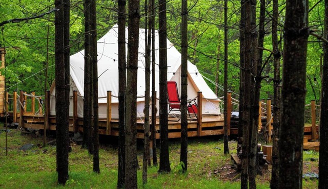 Experience Glamorous Camping in the Woods at Hillcrest