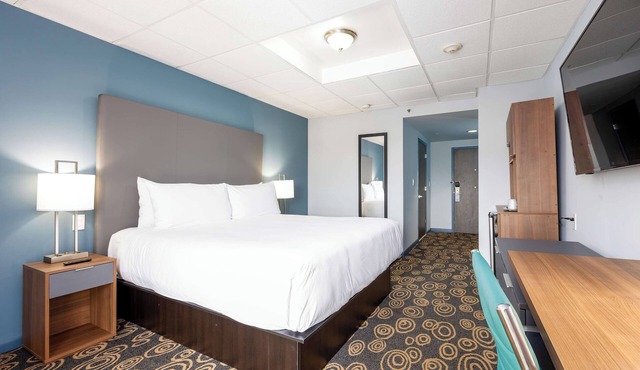Free Airport Shuttle And Pool Near Calle Ocho From Spacious Miami Room