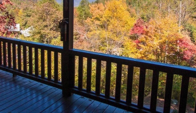 Hawg Hideaway, near ‘Tail of the Dragon’ & Deals Gap