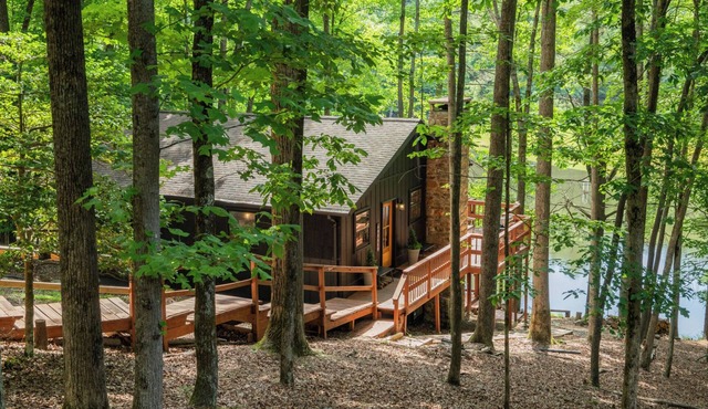 Lakefront Cabin in the High Country. Pet Friendly! Kid Friendly!
