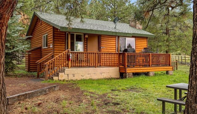 Lazy Trout Spruce Cabin