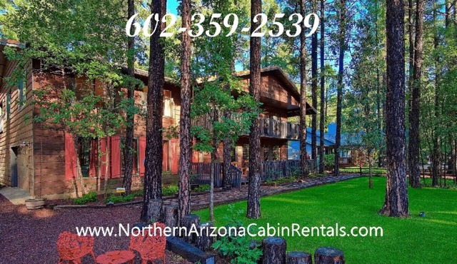 Luxury Family Cabin - Sleeps 33 - Tree Top Theater/Game Room/Golf Course/Dogs OK