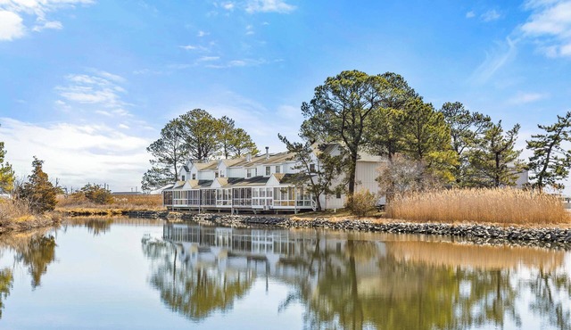 NEWLY RENOVATED - Mallard Lakes - Rare 3 bedroom unit near Fenwick & OC.