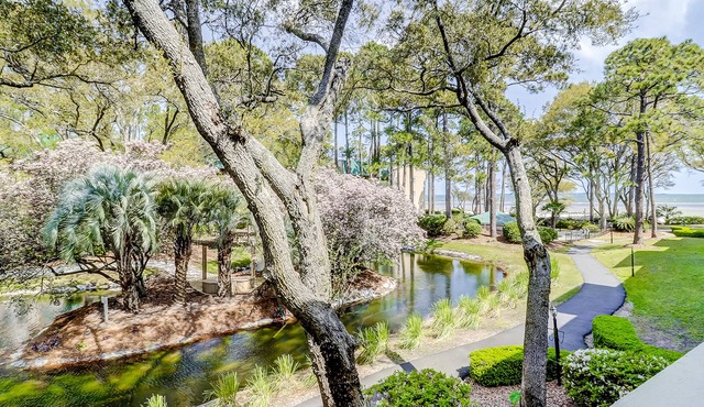 Oceanview condo at Port Royal with pools, tennis, & beach access