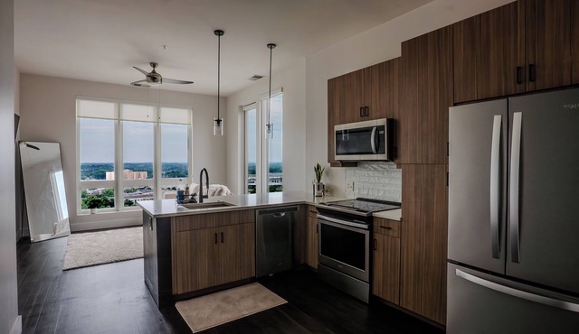 Private Room In High-Rise Penthouse, Midtown Atl
