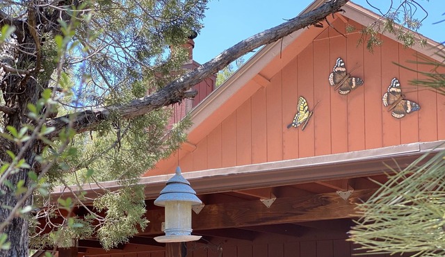 Relaxing Mountain Getaway, Rivers, Fishing, Trails, Waterfalls, Hiking, Cabin