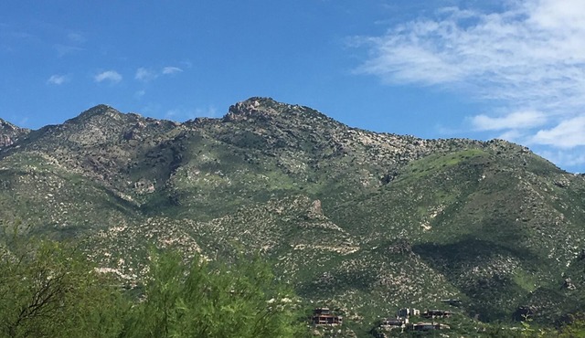 Resort amenities for outdoor adventures, relaxing, The Greens at Ventana Canyon