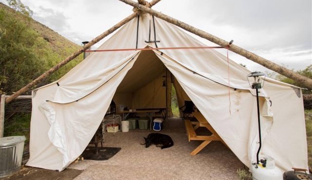 Rocky Mountain Elk Camp