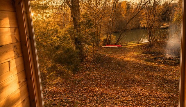 Serene cabin with a pond and creek perfect for relaxing nature adventures