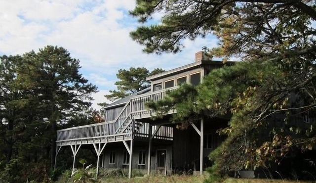Spacious Multi-Level Contemporary Home (1677)