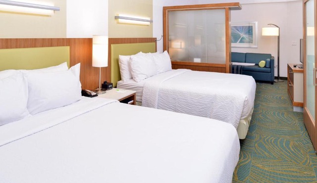 SpringHill Suites by Marriott Raleigh Cary