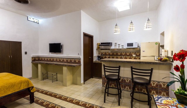 Studio w/shared plunge pool, Netflix, etc. .9 mi. from central sq.