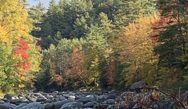 Summer Outdoor Retreat! Cozy Cabin on 5 Acres on Ausable River