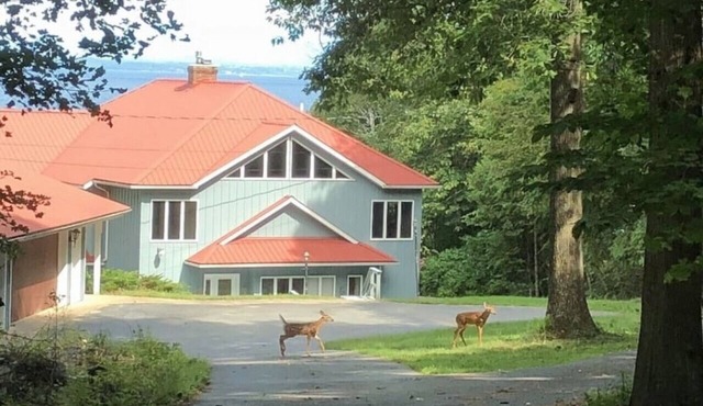 Summer Time at the Big-Lake Lodge on Lake Champlain