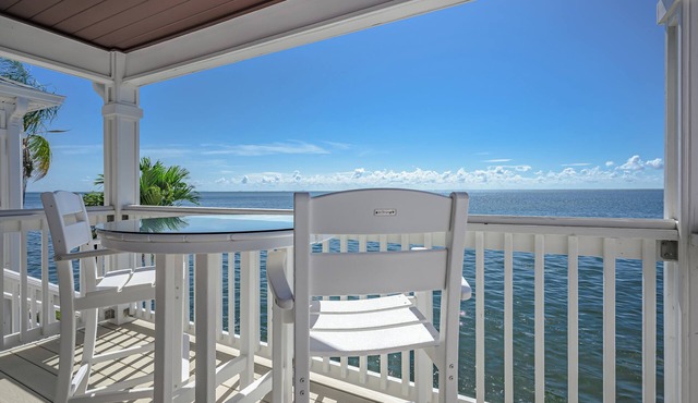 Sunny 1 BR w/Unobstructed Tampa Bay Views, Resort Amenities, 5 Min to Downtown