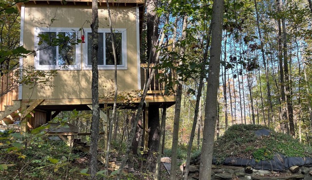 TinyTreehouse for Two
