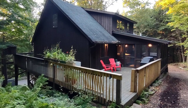 Upper Saranac Lake. Beach and dock. King bed, pets, paddle, hike, Olympic venues