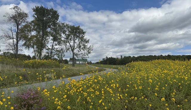 Vermont Modern Farmhouse + 46 acres + spectacular
