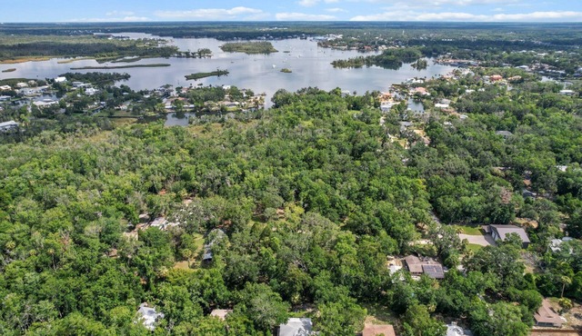 Wake up above the trees-just minutes from the water!