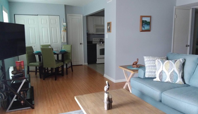 Waterfront Condo, enjoy your morning coffee while watching the dolphins!
