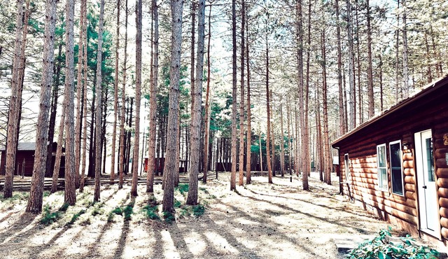 Wilderness Escape: Entire Adirondack Campground
