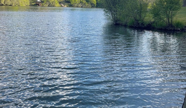 Wonderful family friendly, 3-bedroom LAKE FRONT cabin with dock in Murphy, N.C.!