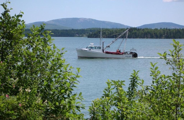 Narrows Camping Resort 