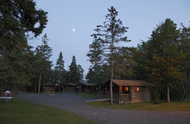 Narrows Too Camping Resort Cabin 8