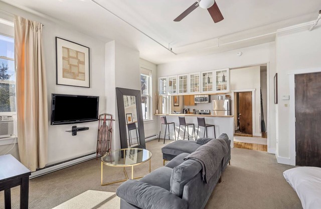 Suite 4- Not Pet Friendly